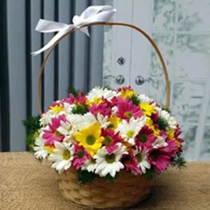 The first spring joy - Flowers basket