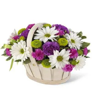 A sense of joy - Flowers basket