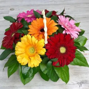 Flower tale - Flowers basket