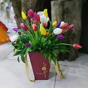Colorful feelings - Box with flowers