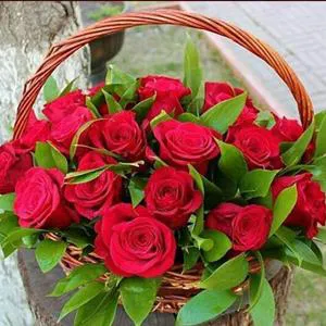 Rose leaves - Flowers basket