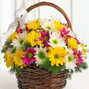Elegant Wishes - Flowers basket