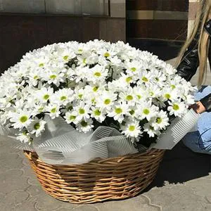 Memories of love - Flowers basket