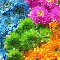 composizioni-fiori-pasquali.jpeg