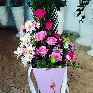 Красочные цветы в коробке - Коробка с цветами