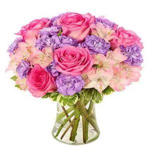 Fresh and beautiful flowers - Flowers in vase