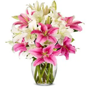 Feel the love of flowers - Flowers in vase