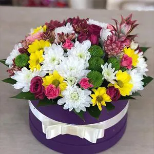 Colorful dance - Box with flowers