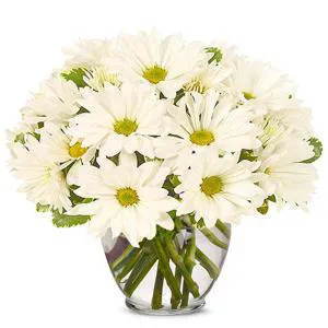 Memories of Joy - Flowers in vase