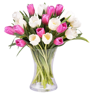 White feeling - Flowers in vase