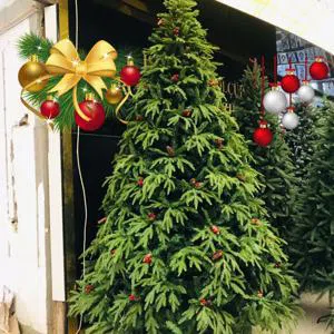 New Year's joy - Christmas tree(3m)