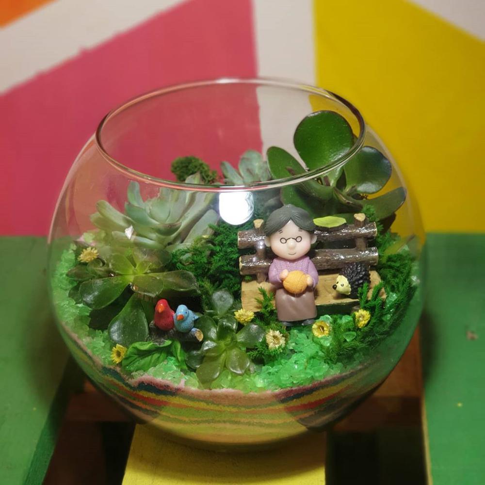 Sadəcə sevinc - Terrarium