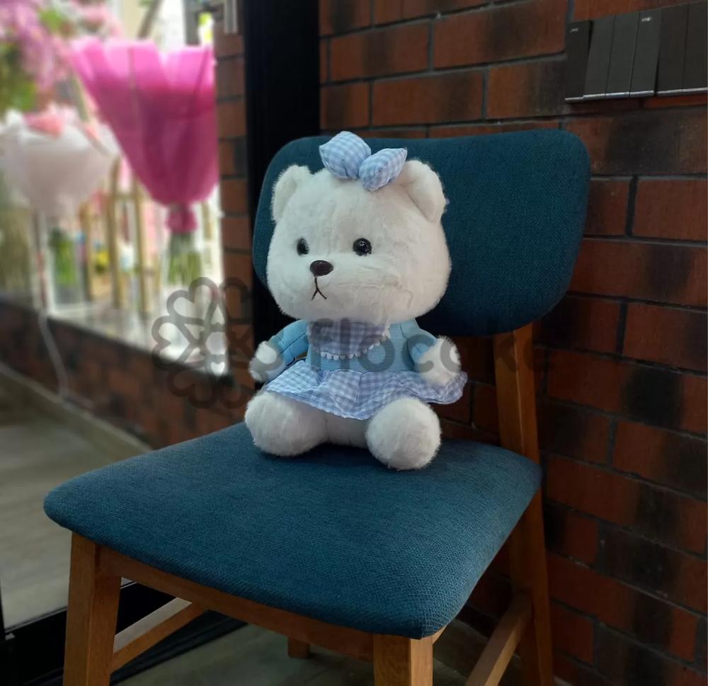 Teddy Bear