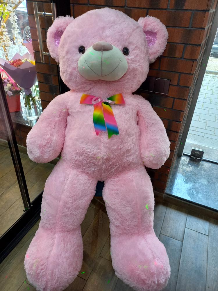 Teddy Bear