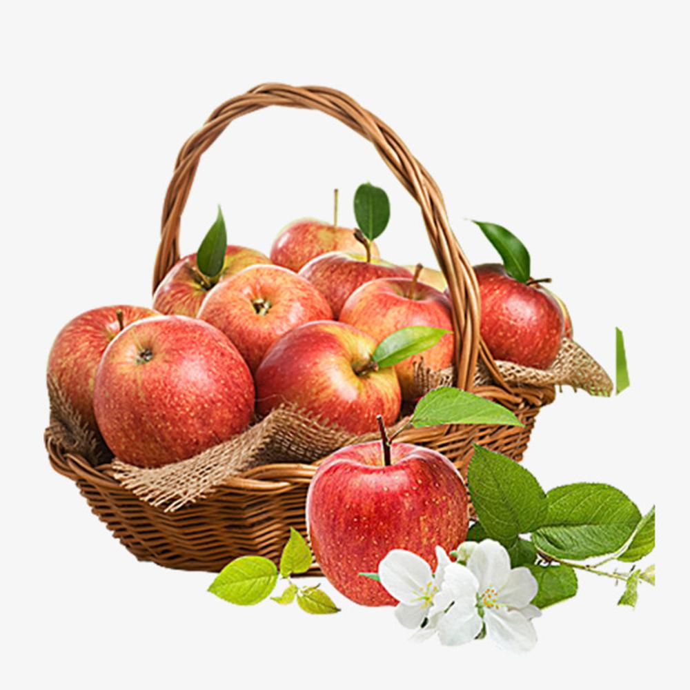 Вкус фруктов