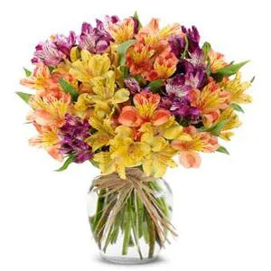 Joy Expressions - Flowers in vase