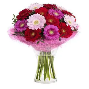 Moments of joy - Flowers in vase