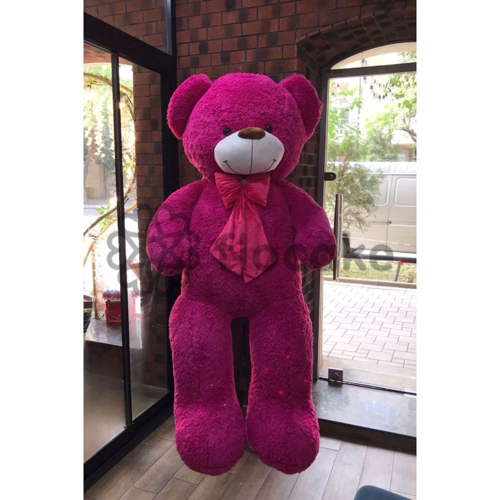 Teddy Bear