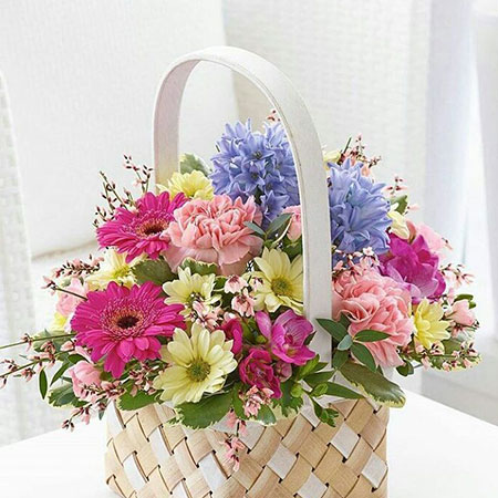 flower-delivery-st.-louis-1498108423.jpg