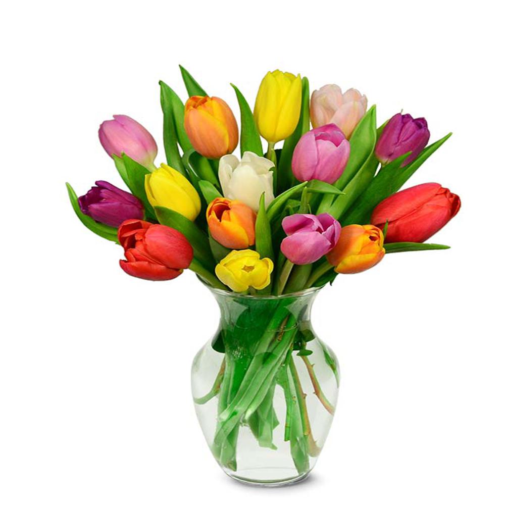 A beautiful moment with simple flowers - Flowers in vase