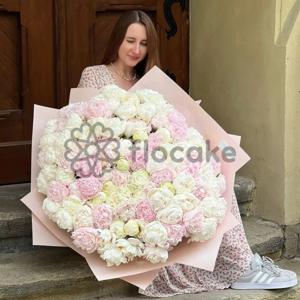 Beautiful Scene - 101 Peony