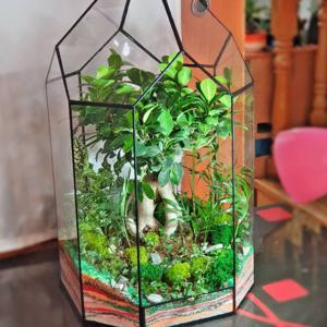 Красиво - Террариум