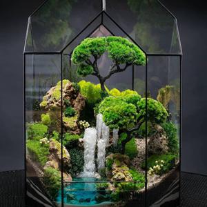 Gözəl və möhtəşəm - Terrarium