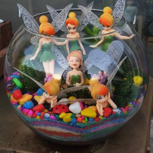 Gözəl və möhtəşəm - Terrarium