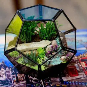 Gözəl an - Terrarium