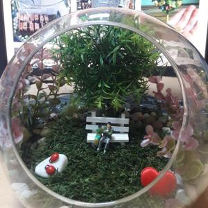 Gözəl an - Terrarium
