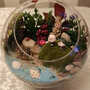 Gözəl an - Terrarium
