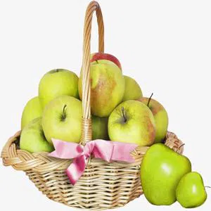 Cute Teddy Bear - Soft Toys