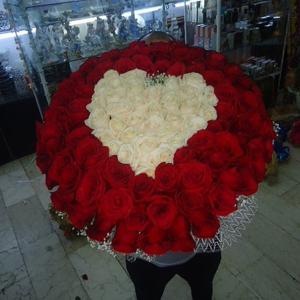 Cute love - Special design