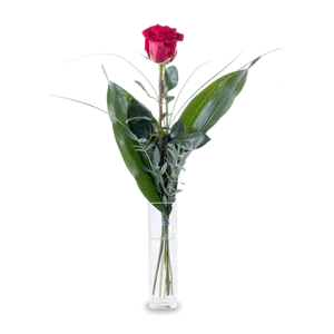 Flowers full of love - Flowers in vase