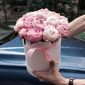 Qutuda güllər - Qutuda güllər