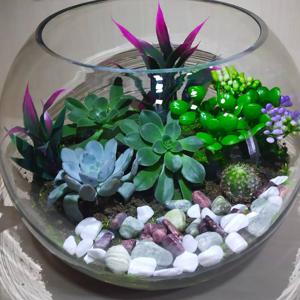 Gözəllik dolu - Terrarium