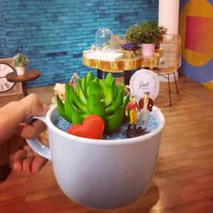 Sevinc dolu - Terrarium