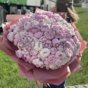 Heartbeat - 101 Peony