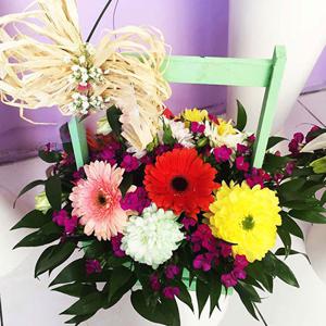 Sevgi təəssüratları - Yeşikdə güllər