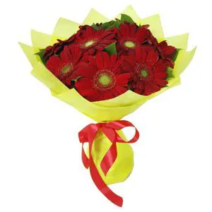 Joy Expressions - Flower Bouquet