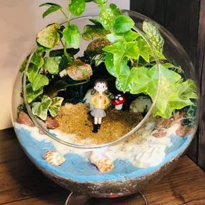 Joy- Terrarium