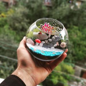 Little joy - Terrarium