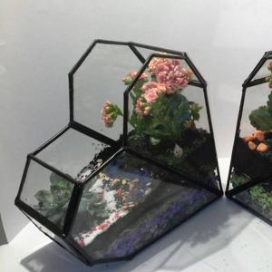 Sevgi - Terrarium