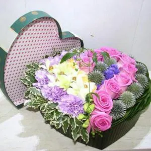 Прекрасный и красивый - Специальный дизайн