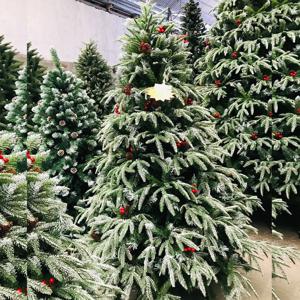 Moment of joy - Christmas tree(2.40sm)