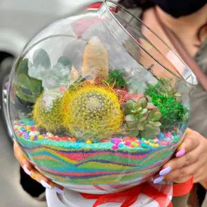 Sevinc an - Terrarium