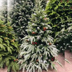 New Year and joy - Christmas tree(1.20sm)