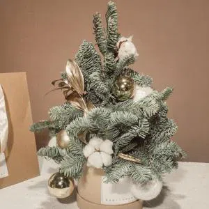 Yeni il hədiyyəsi - Yeni il buketləri