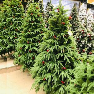 Yeni il hədiyyələri - Yolka ağacı(2.40sm)