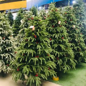 Новогодняя радость - Елка(3m)